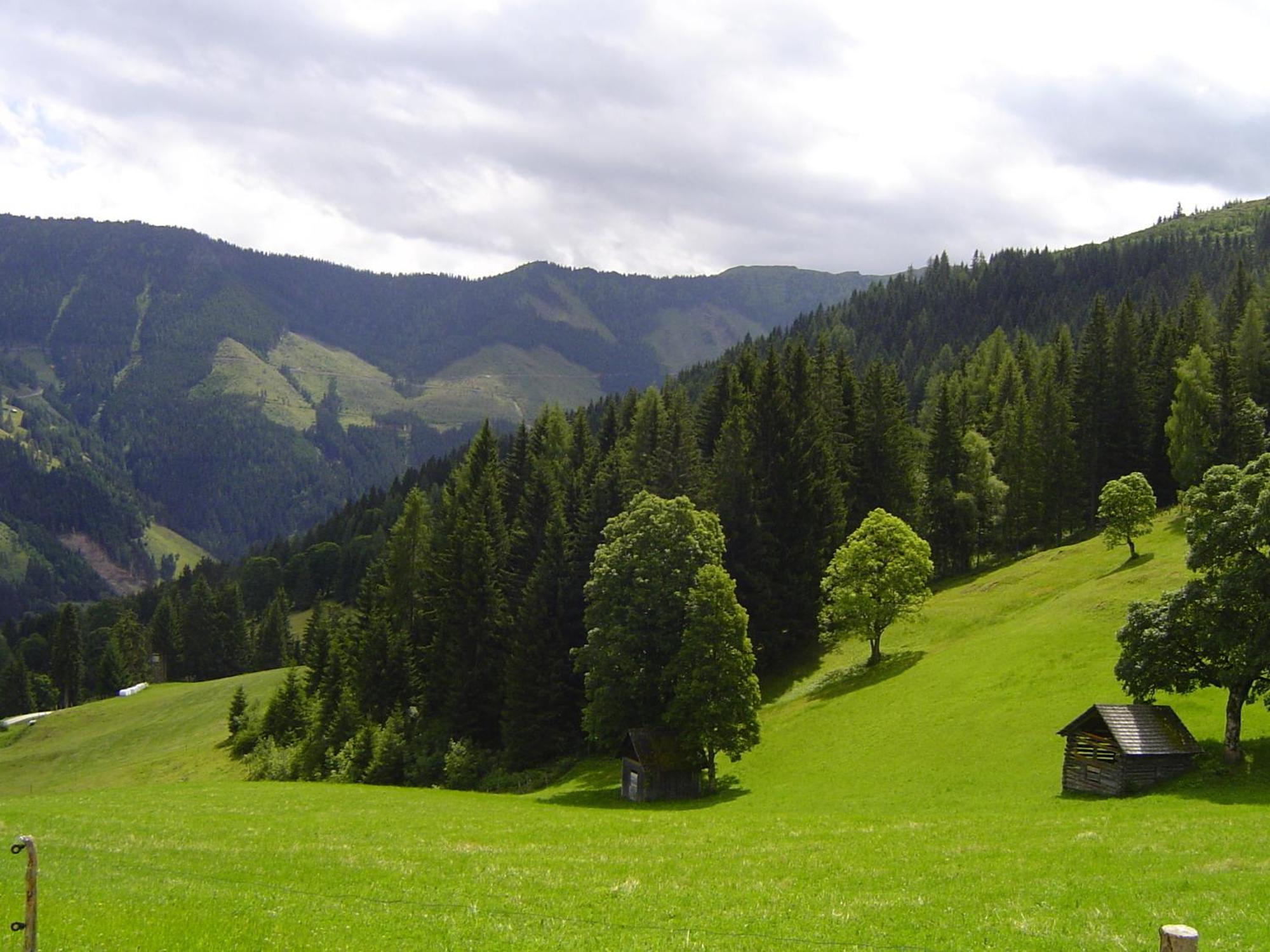 Kirchenbichlerhof Villa Pruggern Eksteriør bilde